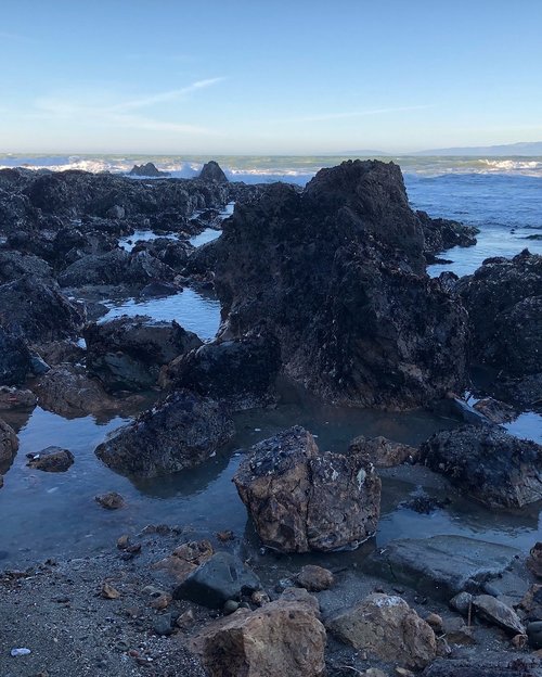 water  seashore  landscape