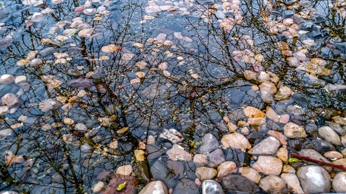 water  highlights  nature