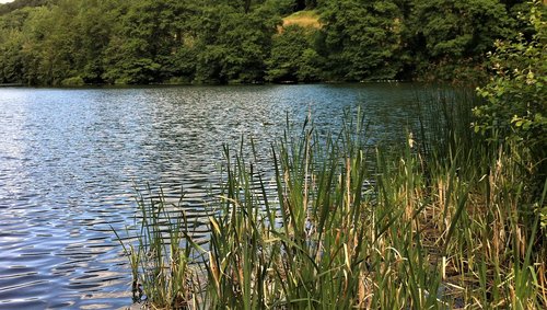 water  nature  outdoors