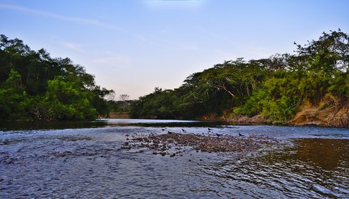 water  nature  river