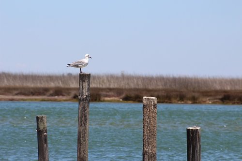 water  nature  sea