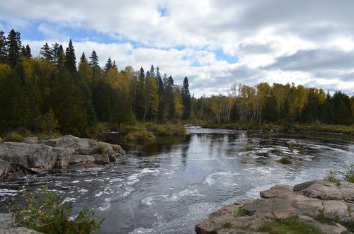 water  nature  river