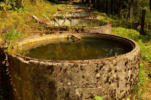 water  water tank  water-plant