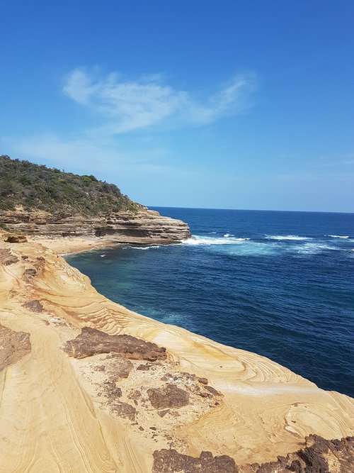 water  seashore  sea