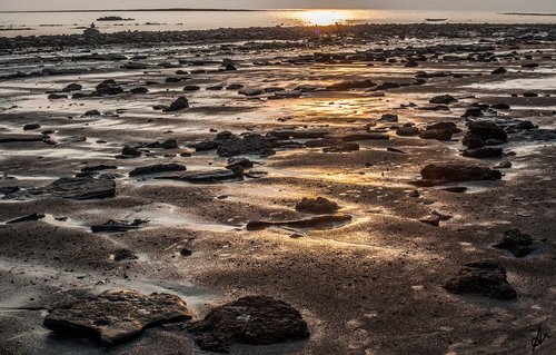 water  seashore  sea