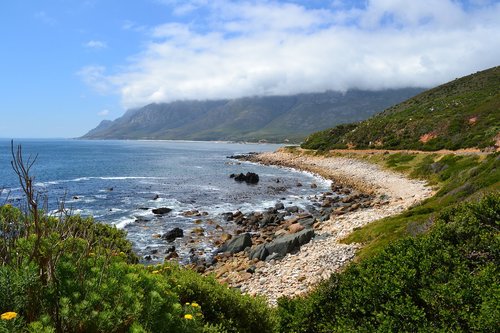 water  seashore  nature