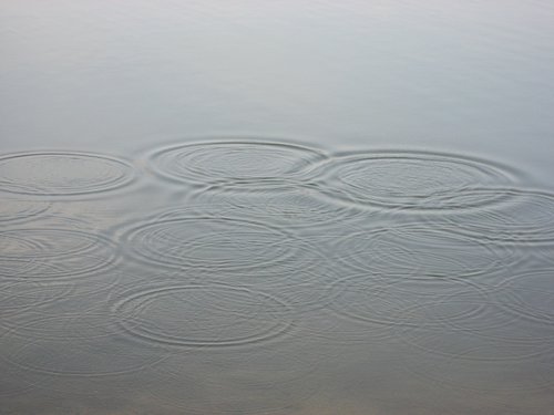 water  circle  wave