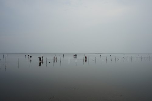 water  fog  lake