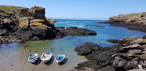 water  seashore  sea