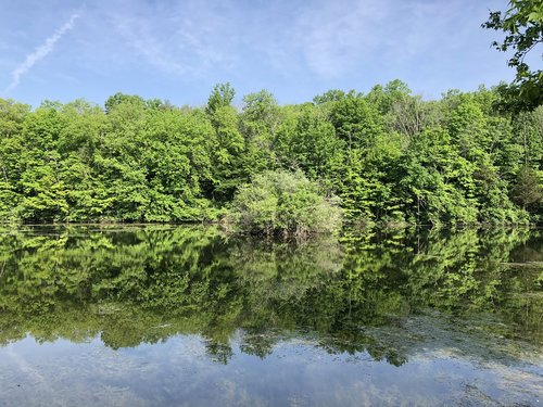 water  lake  trees