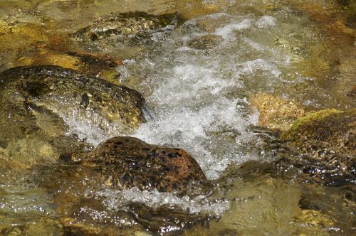 water current river