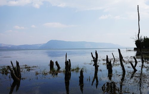 water  nature  outdoors