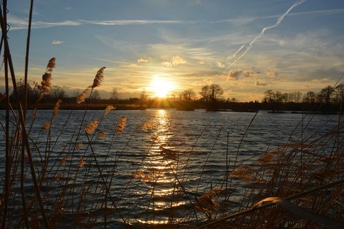 water  nature  pond