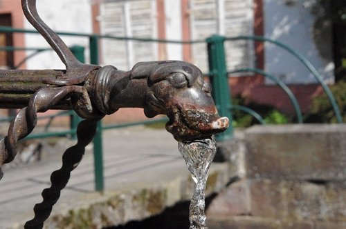 water  gargoyle  fountain
