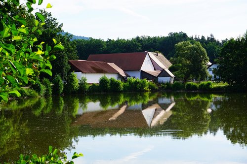 water  mirroring  nature