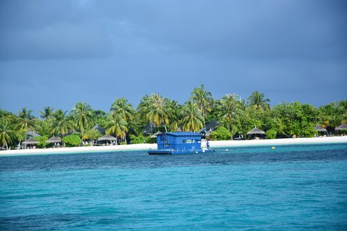 water  paradise  beach