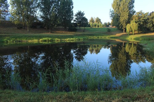 water  pond  park