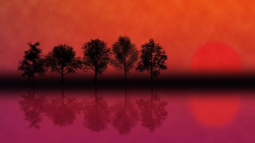 water  landscape  trees