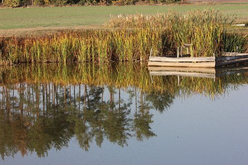 water  mirroring  nature