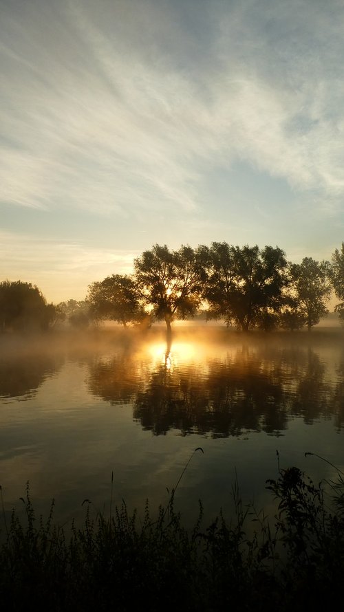 water  sunrise  nature