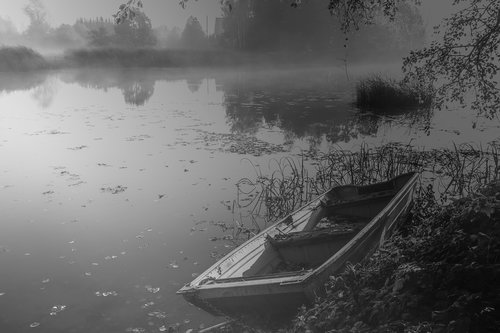 water  river  fog