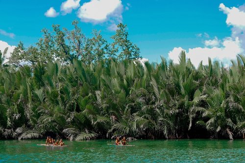 water  philippines  nature