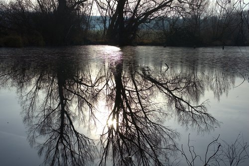 water  swamp  pond