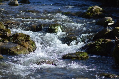 water  river  nature