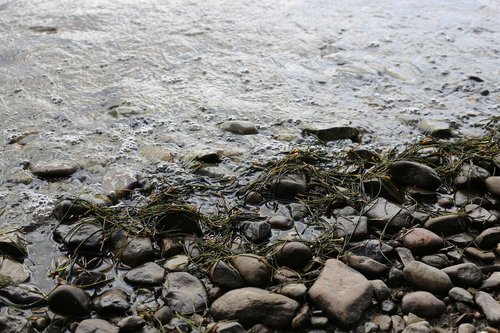 water  loch  lochside
