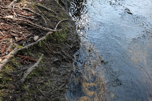 water  mirroring  nature