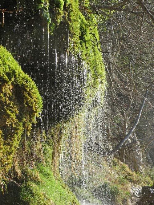 water  waterfall  the creek