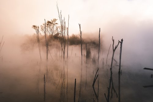 water  sunset  trees