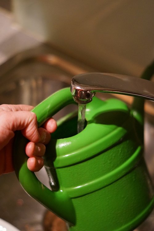 water  water jug  filling