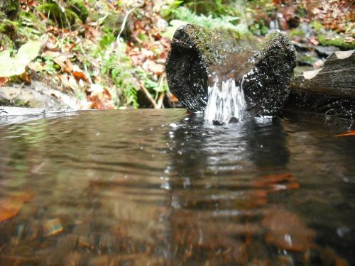 water spring flows