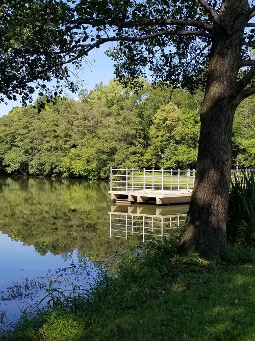 water  pond  nature