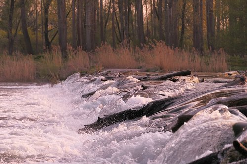 water  river  nature