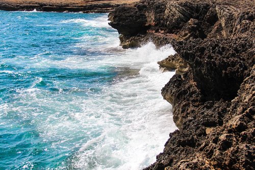 water  coast  nature