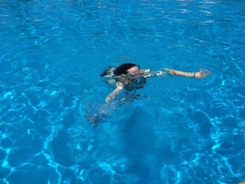 water pool swimming