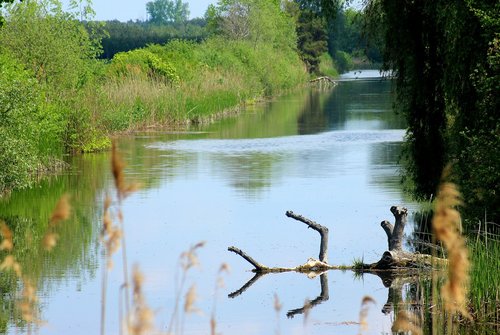 water  pond  landscape