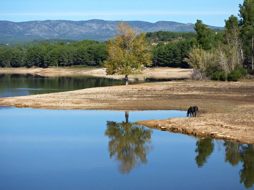 water  reflection  lake