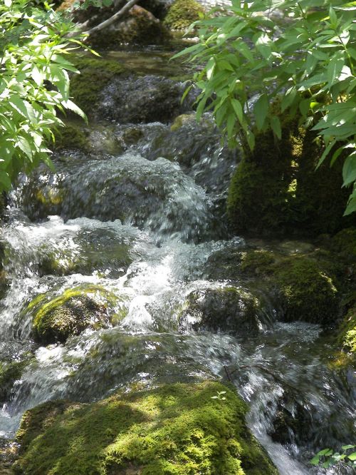 water river nature