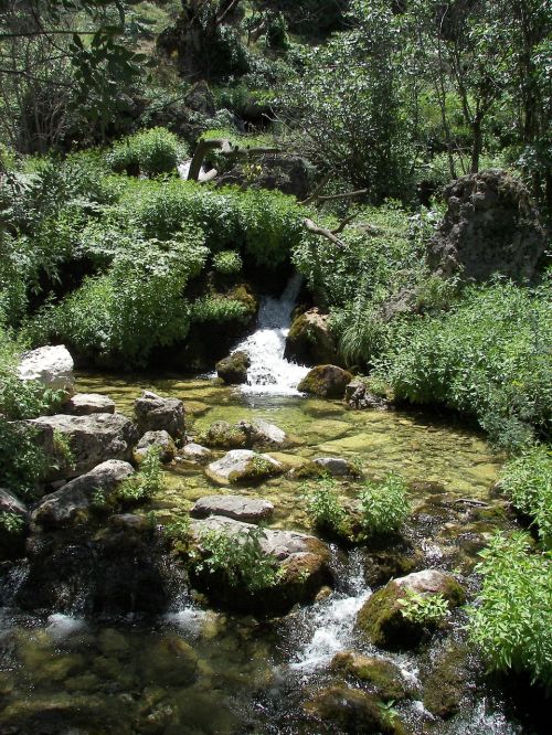 water river nature