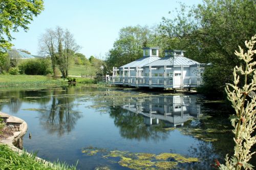 water lake pond