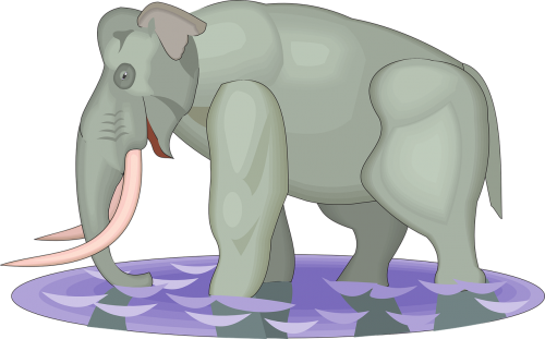 water elephant walking