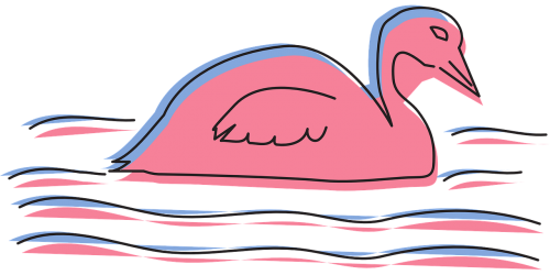 water pink bird