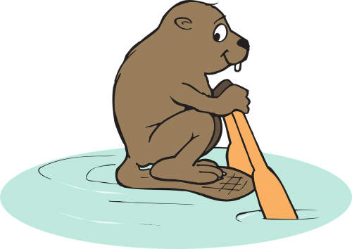 water beaver animal