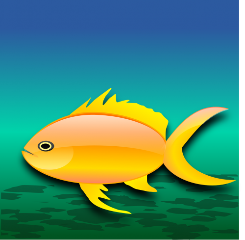 water fish background