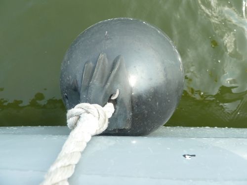 water boating cue ball