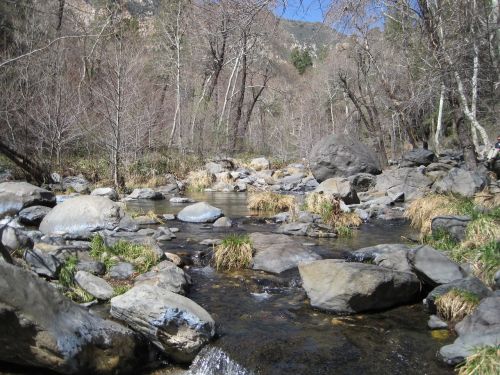 water river stream