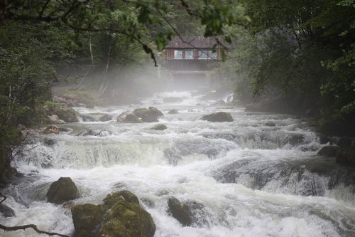 water river fog